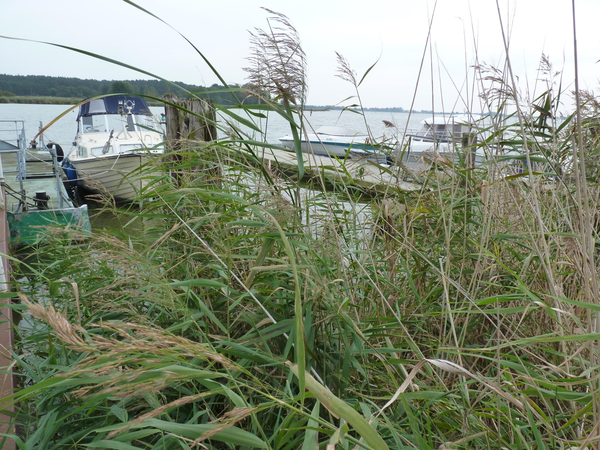 Usedom-003
